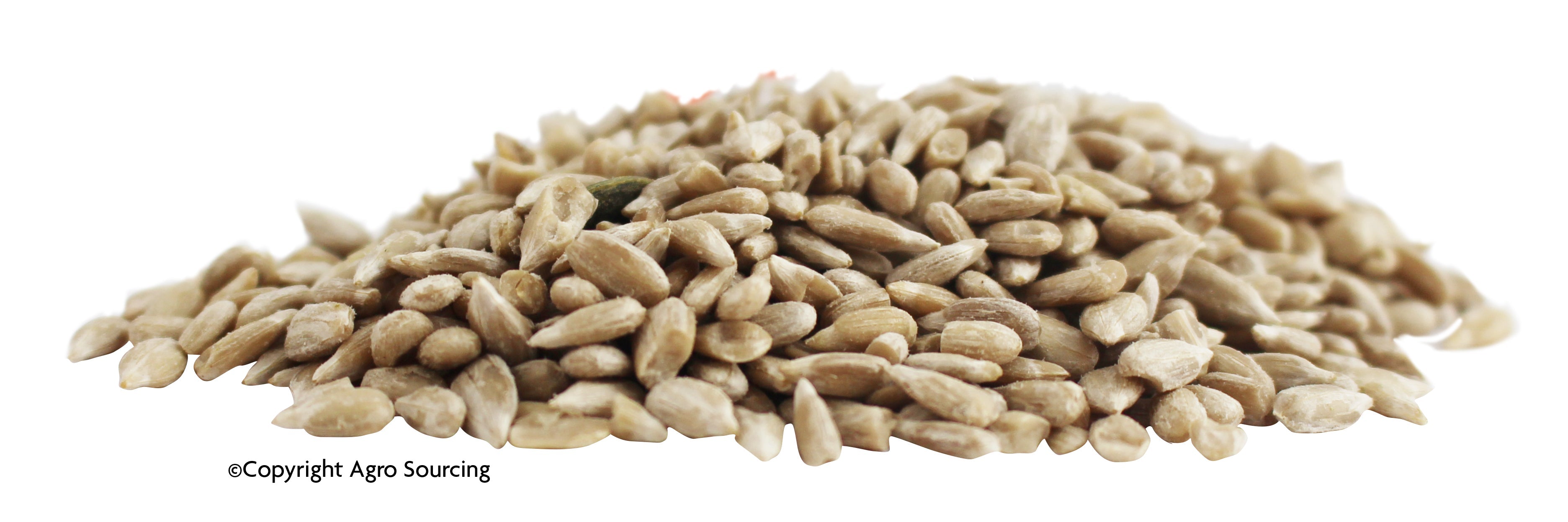 Graines de tournesol bio Vrac (origine UE) - 10 kg