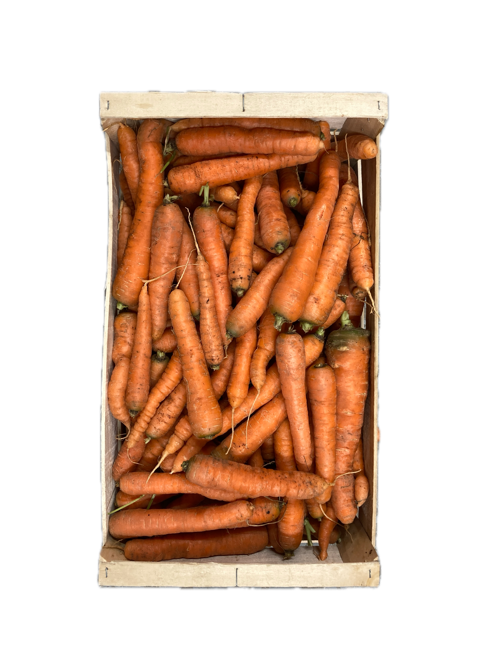 Carotte nouvelle lavée - Cormoreche - Mionnay (01) - 1 kg  (x12)