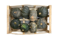 Courge potimarron vert - Seigne - Lezigneux (42) - 1 kg (x13)
