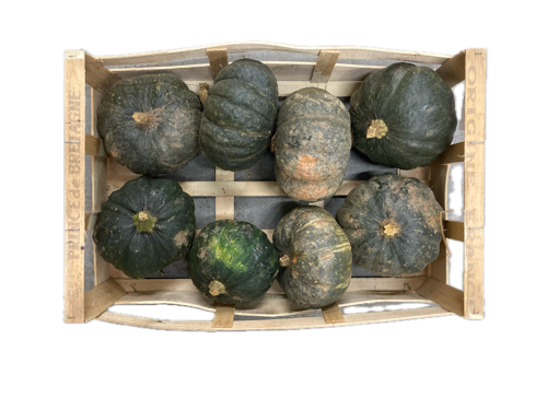Courge potimarron vert - Seigne - Lezigneux (42) - 1 kg (x13)