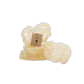 Loofah
