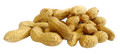Arachides bio en coque Vrac (origine Egypte) - 2,5 kg