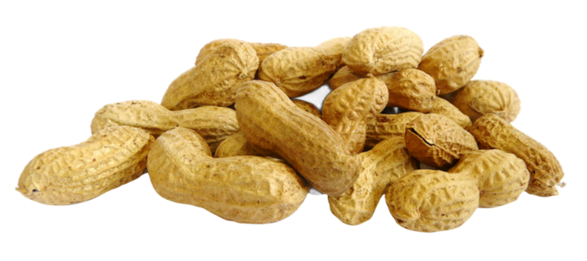 Arachides bio en coque Vrac (origine Egypte) - 2,5 kg