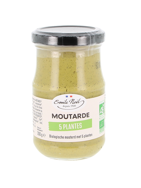 Moutarde 5 plantes bio - 200 g