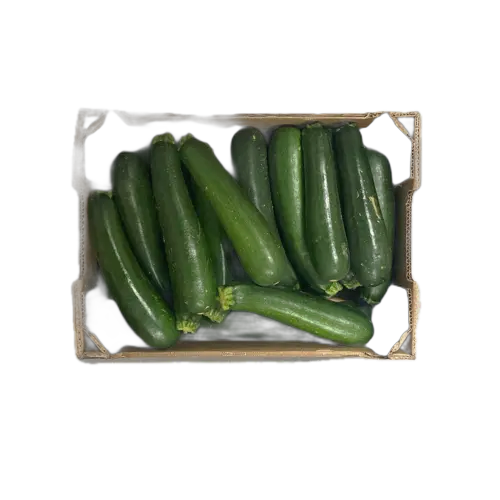 Courgette verte CAL 14/21 - 1 kg