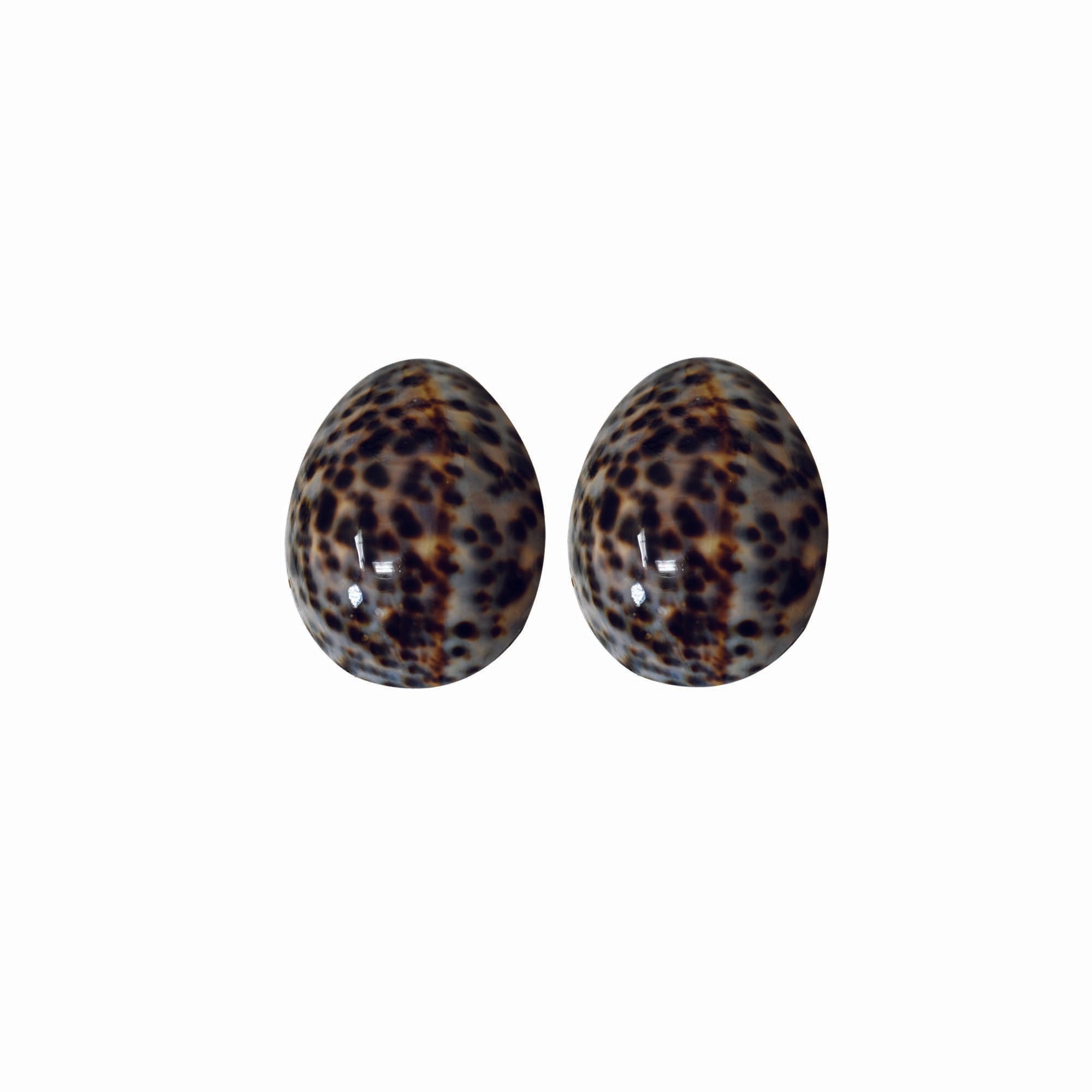 Lot de 2 coquillages d'allaitement brillants - Taille S