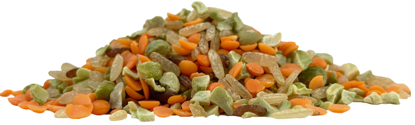 Mélange protéiné mix veggie bio (riz lentilles boulgour) Vrac - 10 Kg