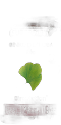 Gingko bio - 1 gelule