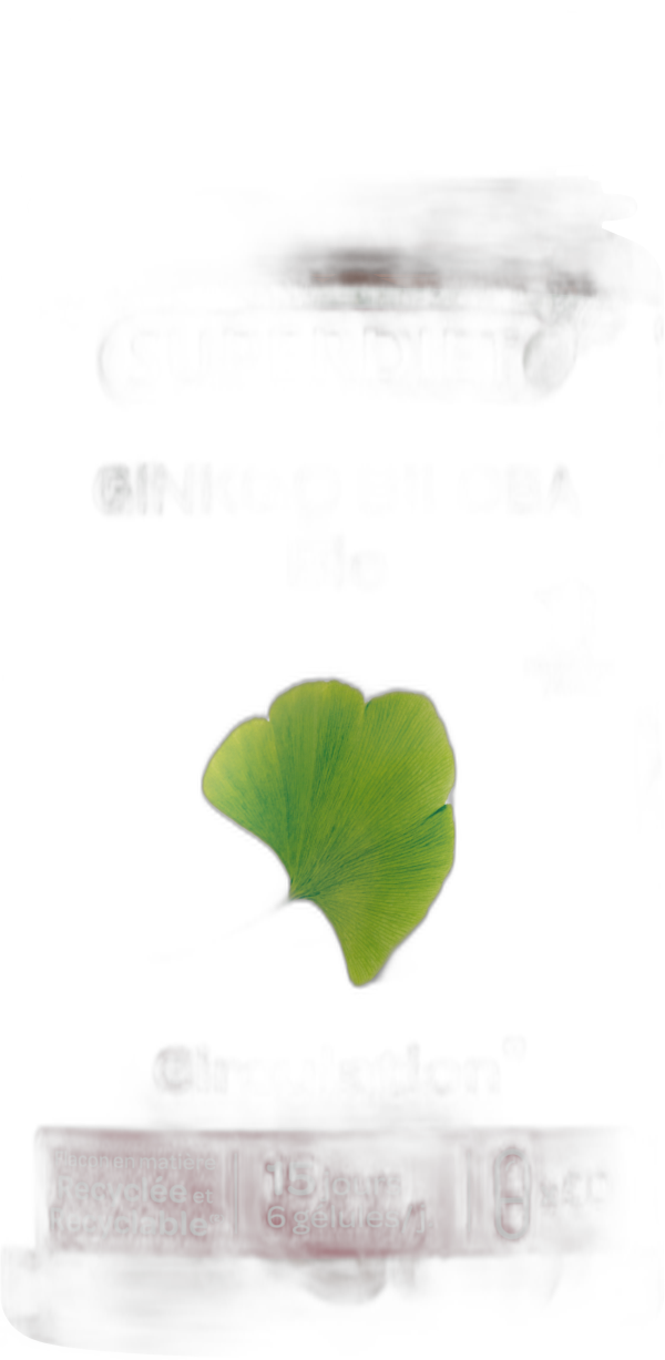Gingko bio - 1 gelule