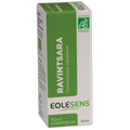 Huile essentielle ravintsara bio - 10 ml