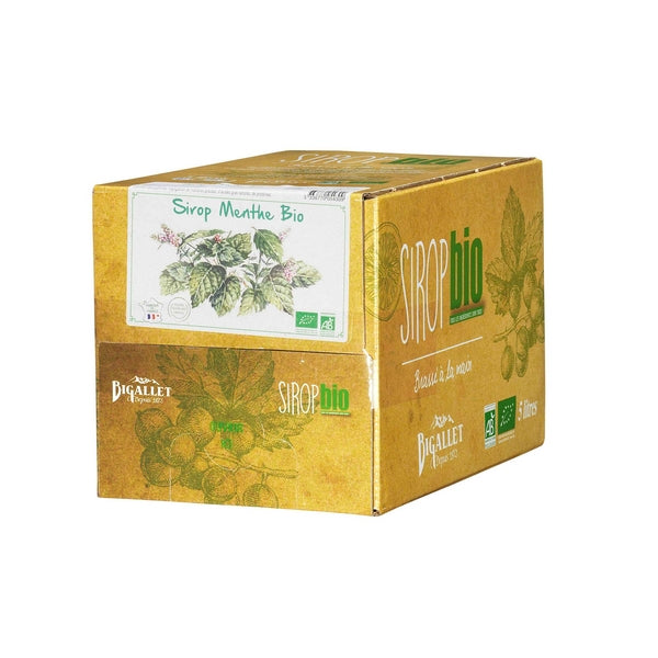 Sirop menthe bio Vrac - Bib 5L