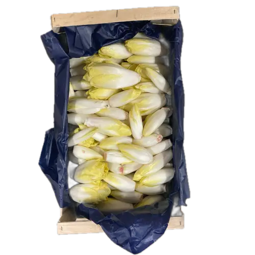 Endivette - 1 kg