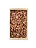 Echalote - Primeale - Feillens (01) - 1 kg
