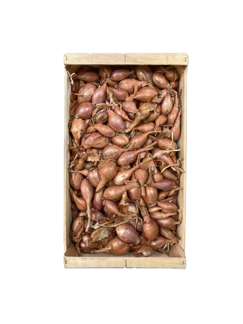Echalote - Primeale - Feillens (01) - 1 kg