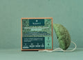 √âponge konjac bio au thé vert (origine Japon)