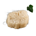 Porte savon biodégradable (luffa brut) - lot de 2