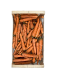 Carotte nouvelle lavée - Cormoreche - Mionnay (01) - 1 kg