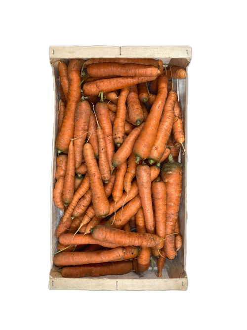 Carotte nouvelle lavée - Cormoreche - Mionnay (01) - 1 kg