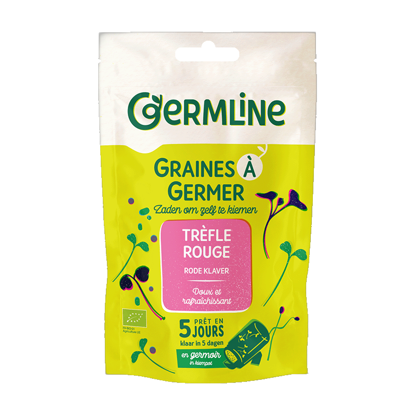 Graines à germer trèfle rouge bio (origine Italie) - 150 g