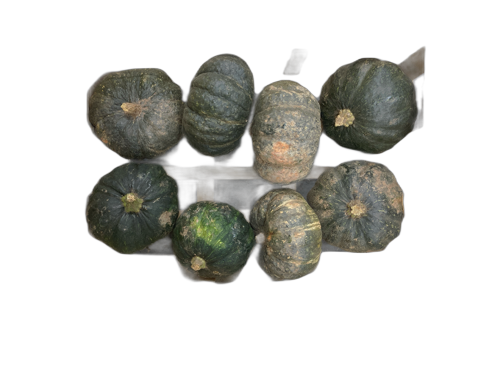Courge potimarron vert - Seigne - Lezigneux (42) - 1 kg