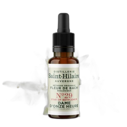 fleur de bach dame d'onze heure n¬∞29 bio (star of bethlehem) - 20 ml