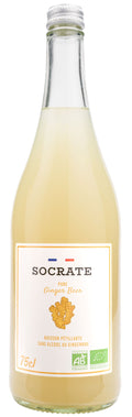 Ginger beer bio - 75cL x 6