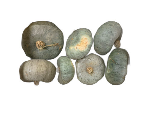 Courge Bleue de Hongrie - Sylvant - Agnin (38) - 1 kg