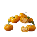 TOMATE JAUNE COTELEE - - 1 kg