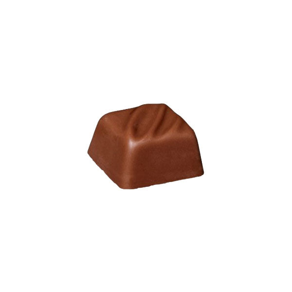 Bonbon praliné croustillant - noisettes chocolat au lait bio Vrac - 1 kg