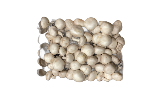 Champignons Paris Blanc - 1 kg