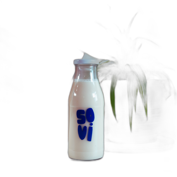 Bouteille vide pour boisson v√©g√©tale √† diluer - 50 cL