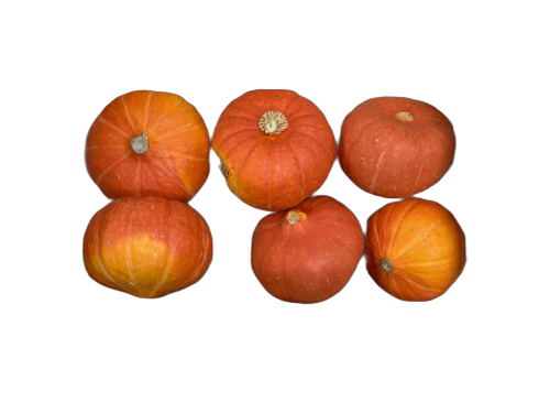 Courge potimarron orange - Sylvant/Montbio - Agnin (38)/Montmeyran (26) - 1 kg