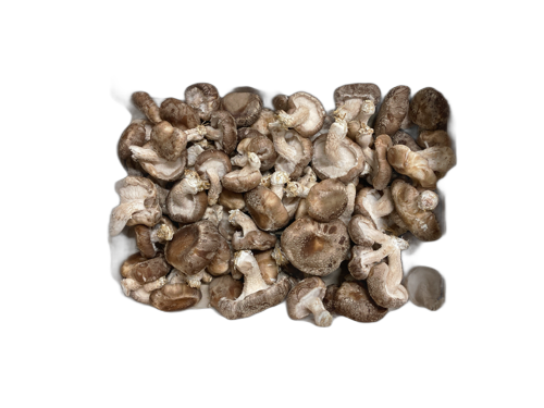 Champignon Shiitake - La Taniere Des Gones - Lyon (69) - 1 kg