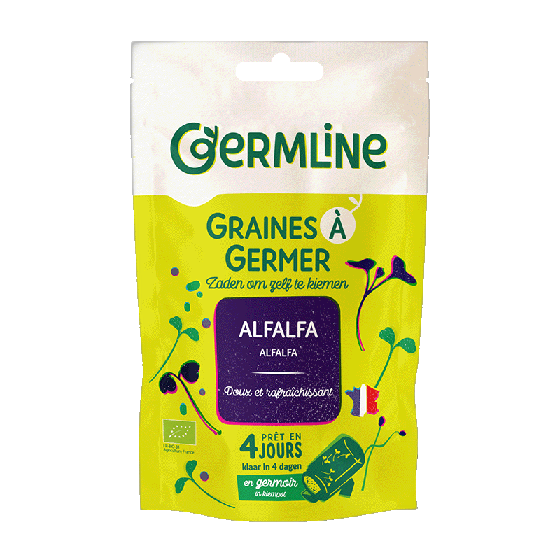Graines à germer alfalfa bio (origine France) - 150 g