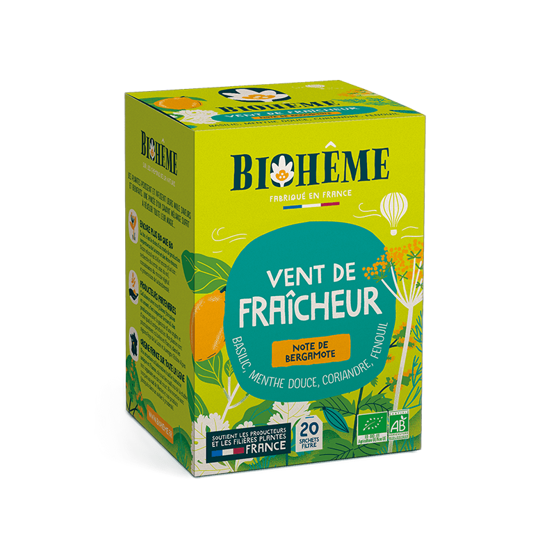 Infusion Vent de fra√Æcheur - 20 infusettes