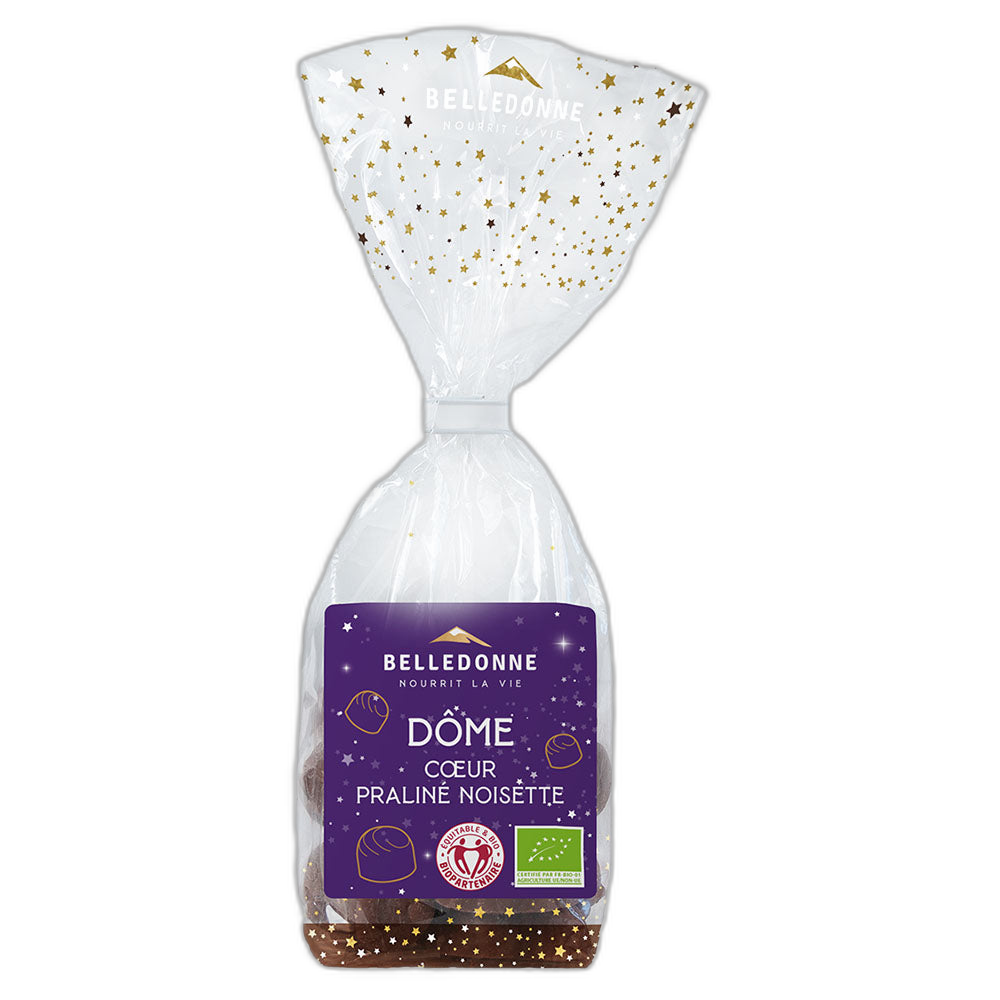 Bonbon dôme praliné noisette choc noir 74 % bio - 120 g