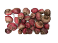 Betterave Chioggia - Jardin De Bramfin - Bessey (42) - 1 kg