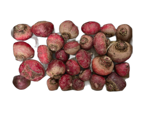 Betterave Chioggia - Jardin De Bramfin - Bessey (42) - 1 kg