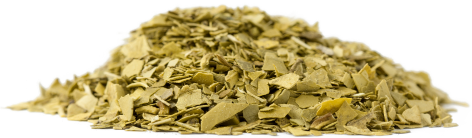 Mat√© vert bio (br√©sil) Vrac - 1,5 kg