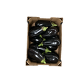 Aubergine - Espagne