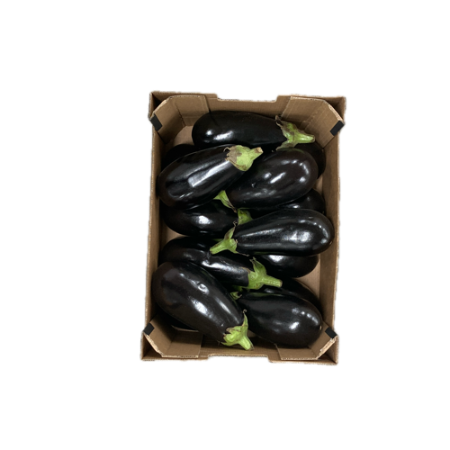 Aubergine - Espagne