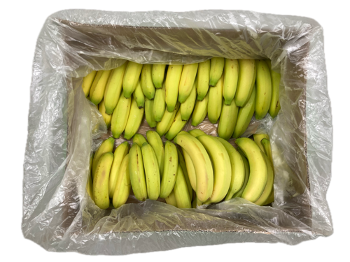 Banane P20