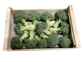 Brocoli