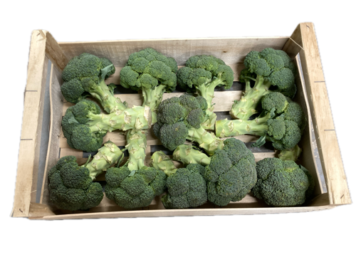 Brocoli