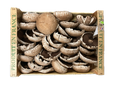 Champignon Portobello