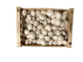 Champignons Paris Blanc