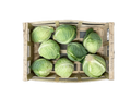 Chou Vert Frisé - Mathis Marcon