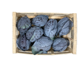 Chou rouge cultivé par Mathis Marcon