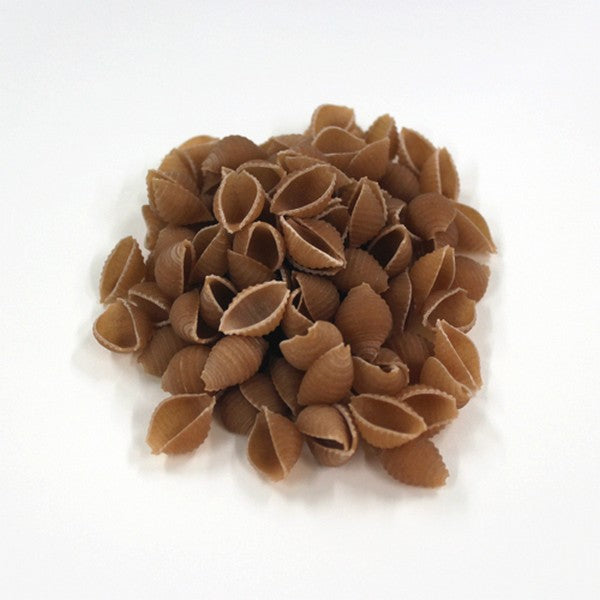 Conchiglie blé demi complet bio (variété ancienne) Vrac - 5 kg
