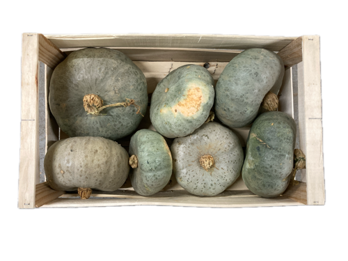 Courge Bleue de Hongrie